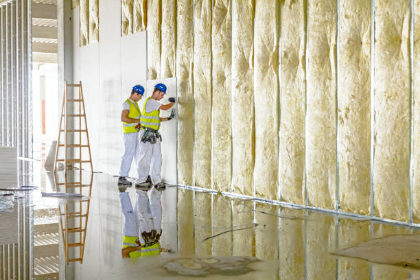 Best Geographic-Specific Insulation Services in West Glendive, MT